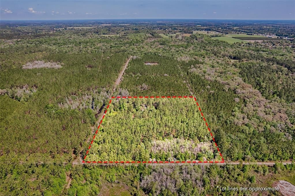 10 Acres in Alachua!