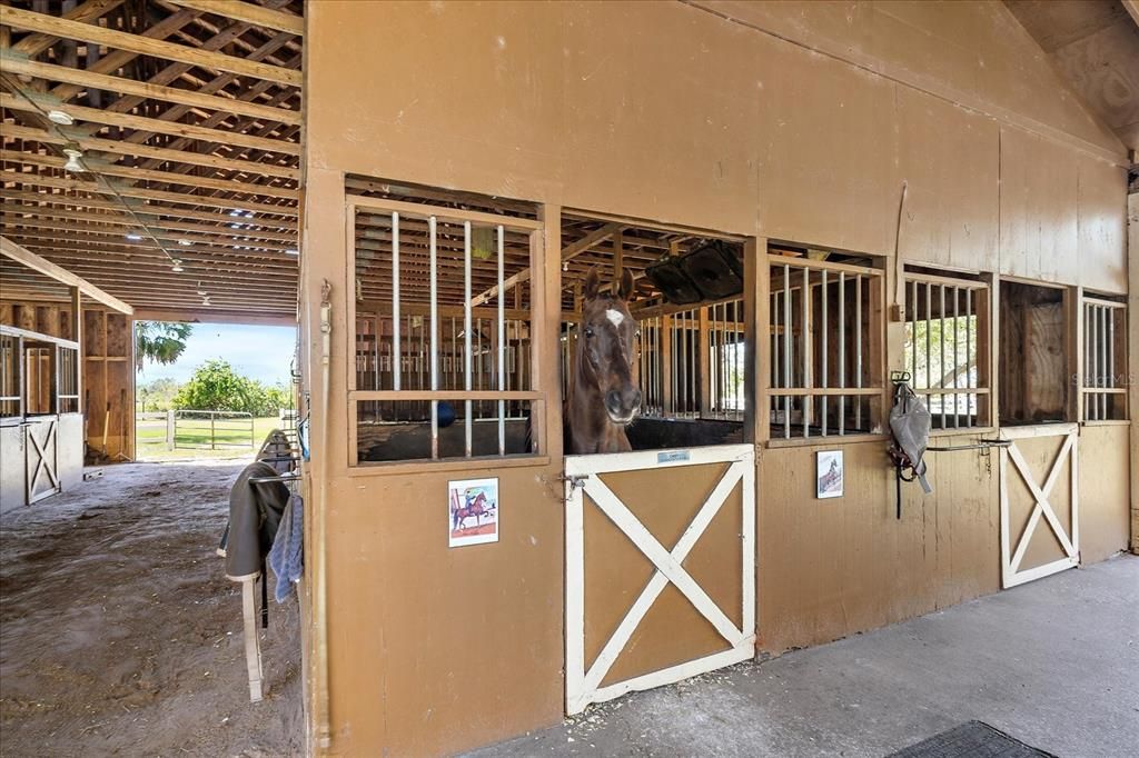 待售: $6,249,000 (12 贝兹, 10 浴室, 7934 平方英尺)