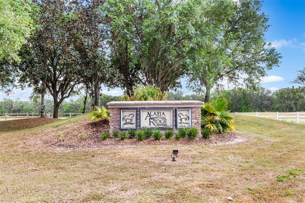 Alafia Ridge Estates