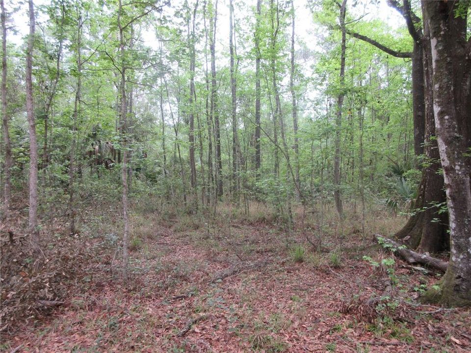 For Sale: $199,000 (3 beds, 2 baths, 1512 Square Feet)