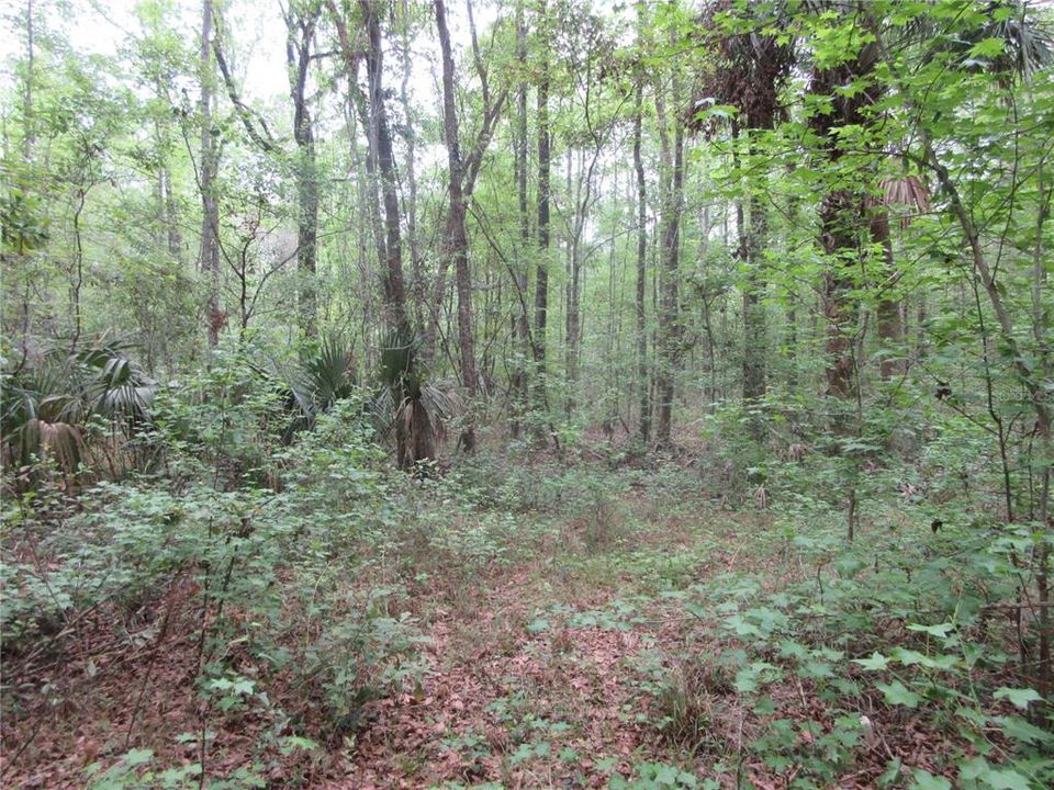 For Sale: $199,000 (3 beds, 2 baths, 1512 Square Feet)