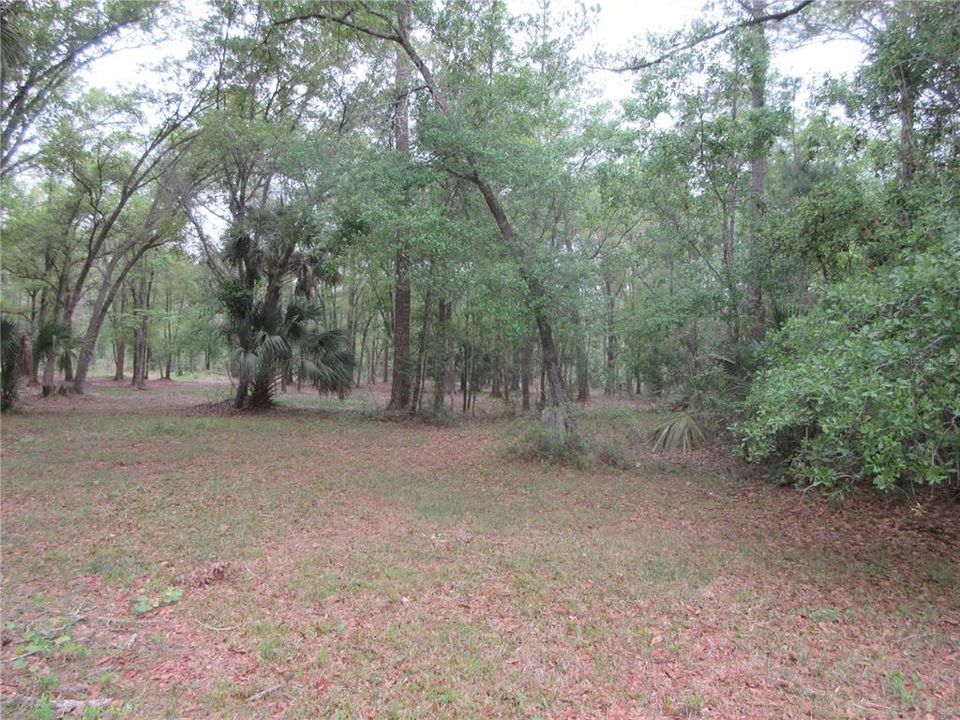 For Sale: $199,000 (3 beds, 2 baths, 1512 Square Feet)