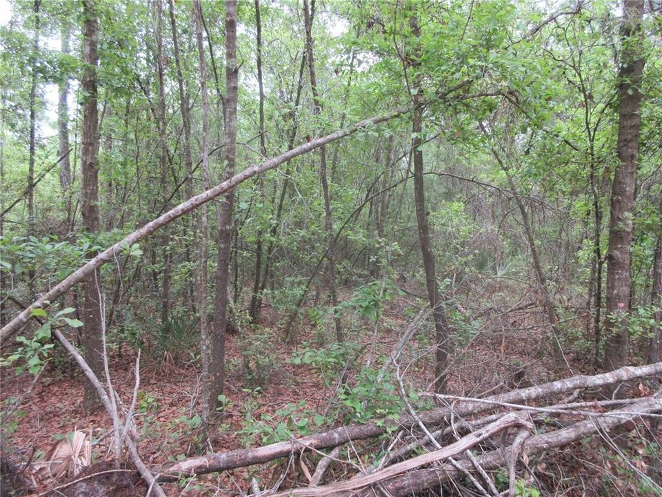 For Sale: $199,000 (3 beds, 2 baths, 1512 Square Feet)