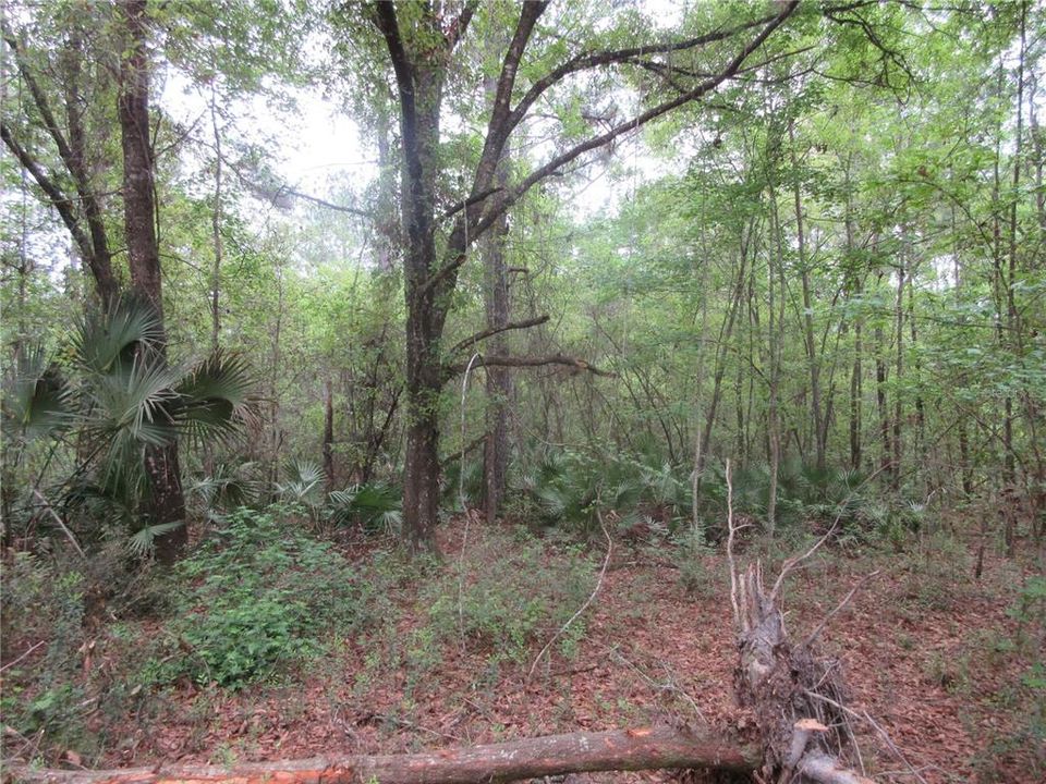 For Sale: $199,000 (3 beds, 2 baths, 1512 Square Feet)