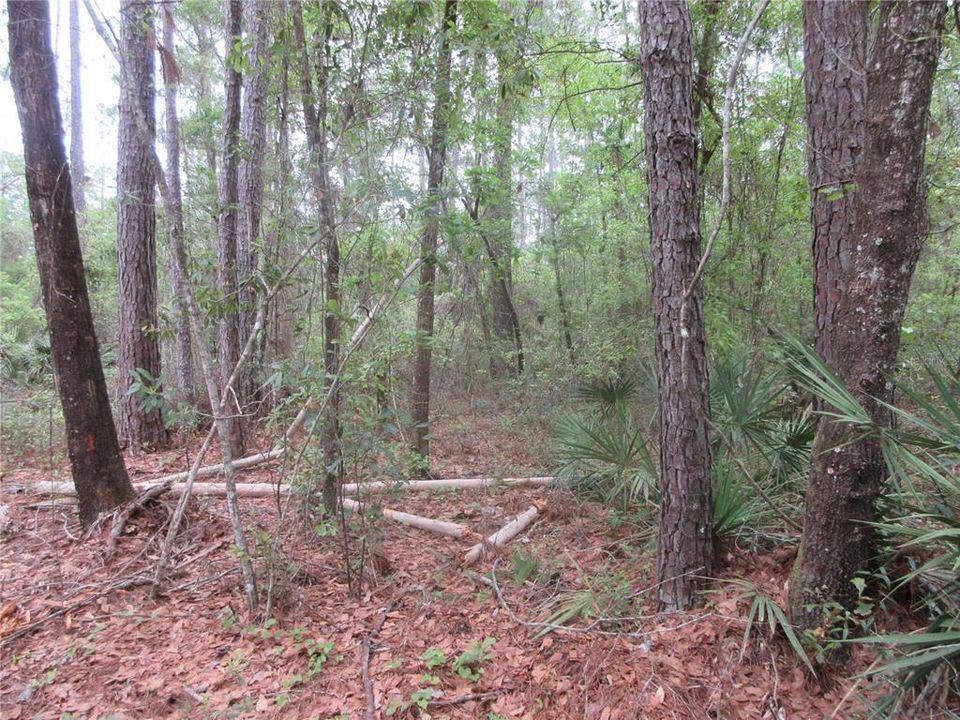 For Sale: $199,000 (3 beds, 2 baths, 1512 Square Feet)