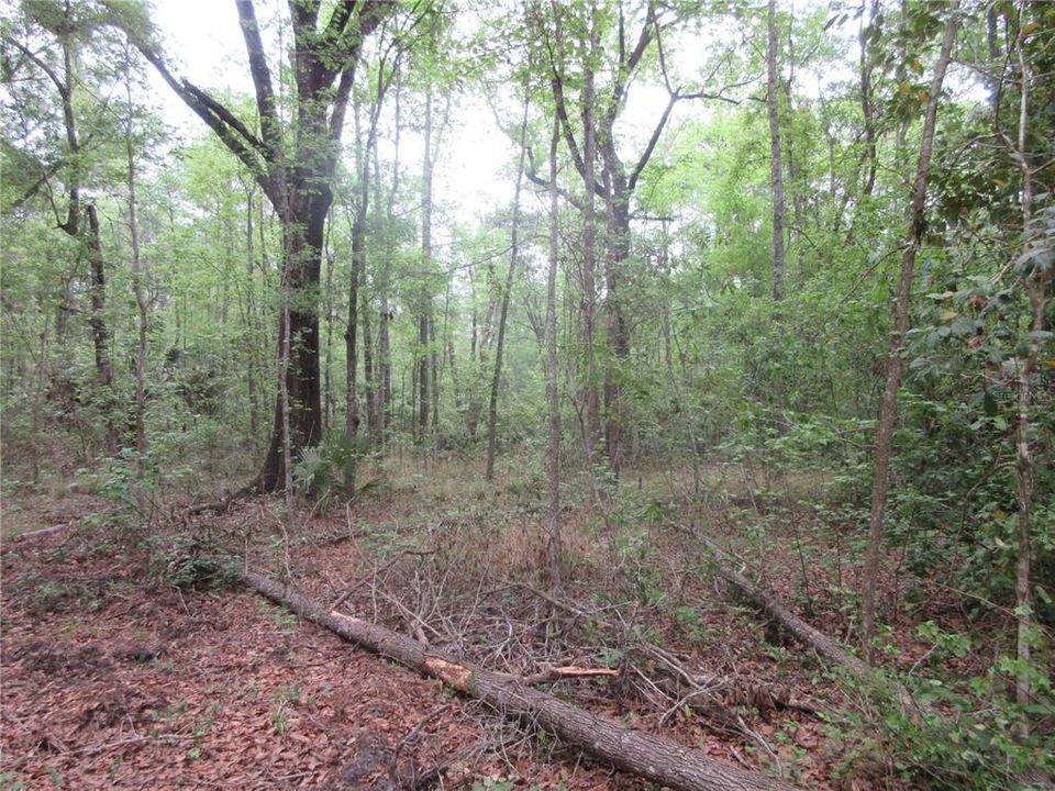 For Sale: $199,000 (3 beds, 2 baths, 1512 Square Feet)