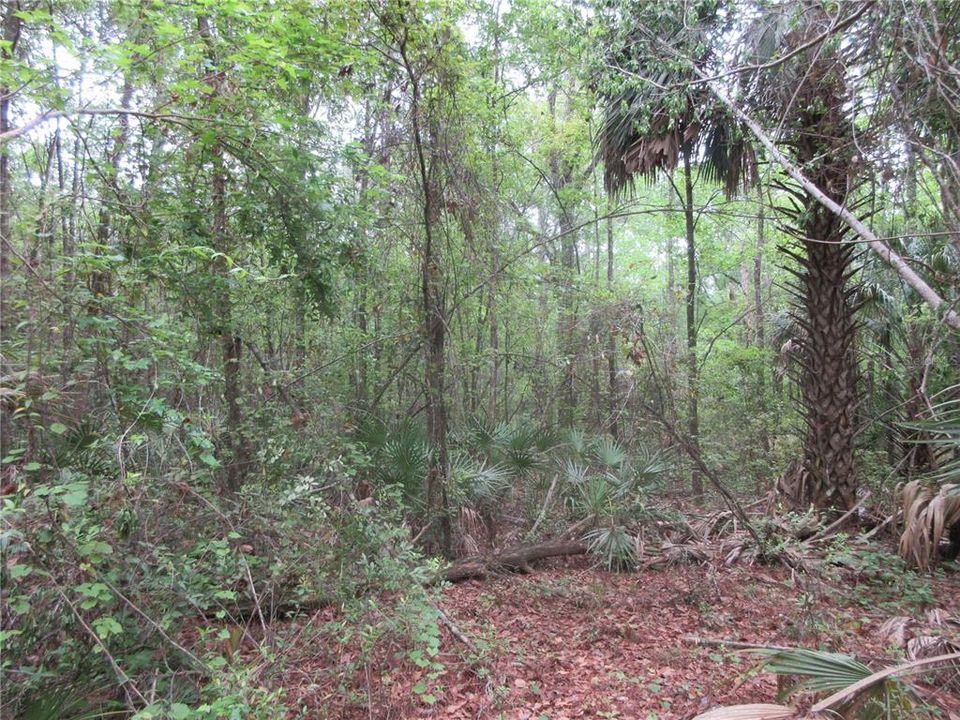 For Sale: $199,000 (3 beds, 2 baths, 1512 Square Feet)