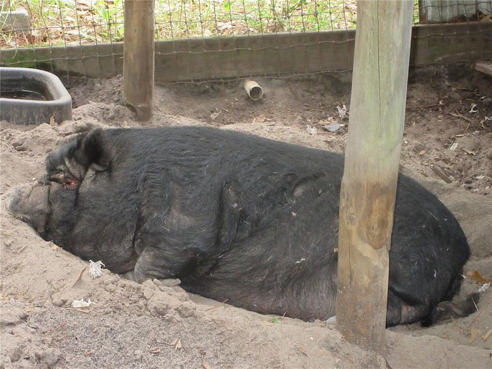 For Sale: $199,000 (3 beds, 2 baths, 1512 Square Feet)