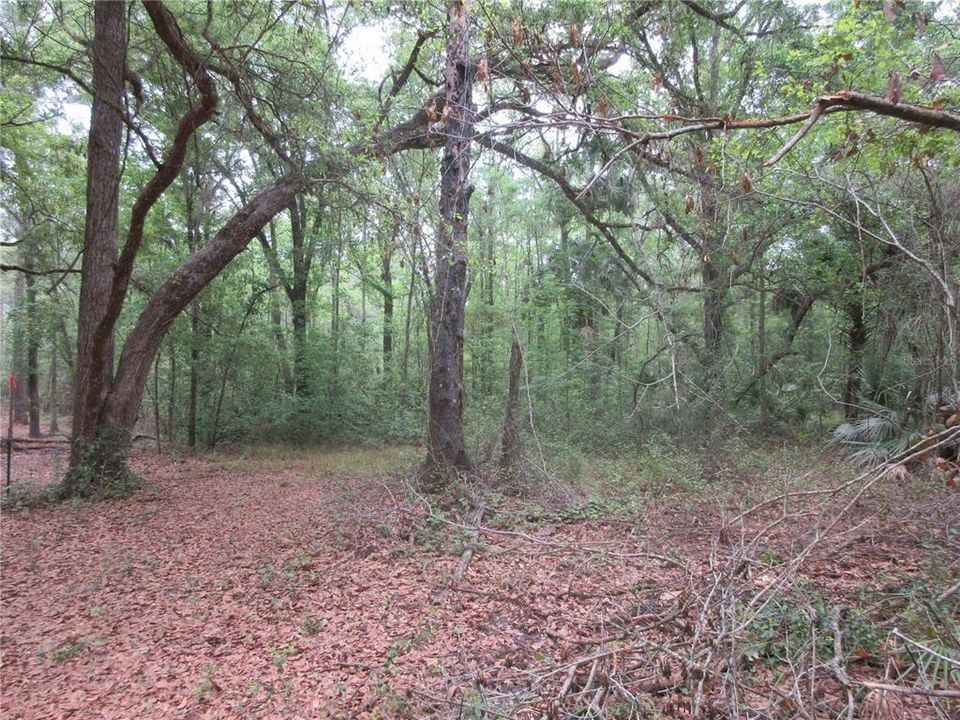 For Sale: $199,000 (3 beds, 2 baths, 1512 Square Feet)