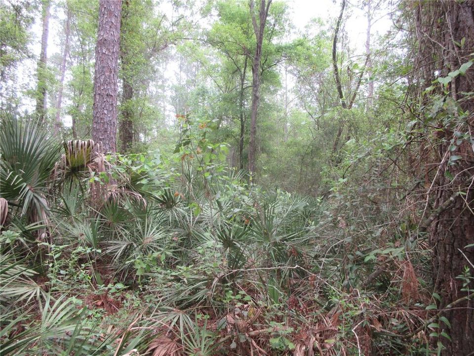 For Sale: $199,000 (3 beds, 2 baths, 1512 Square Feet)