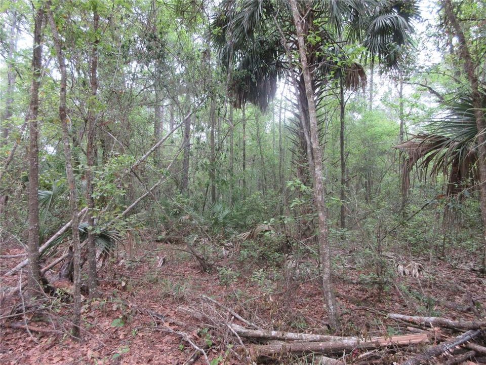 For Sale: $199,000 (3 beds, 2 baths, 1512 Square Feet)