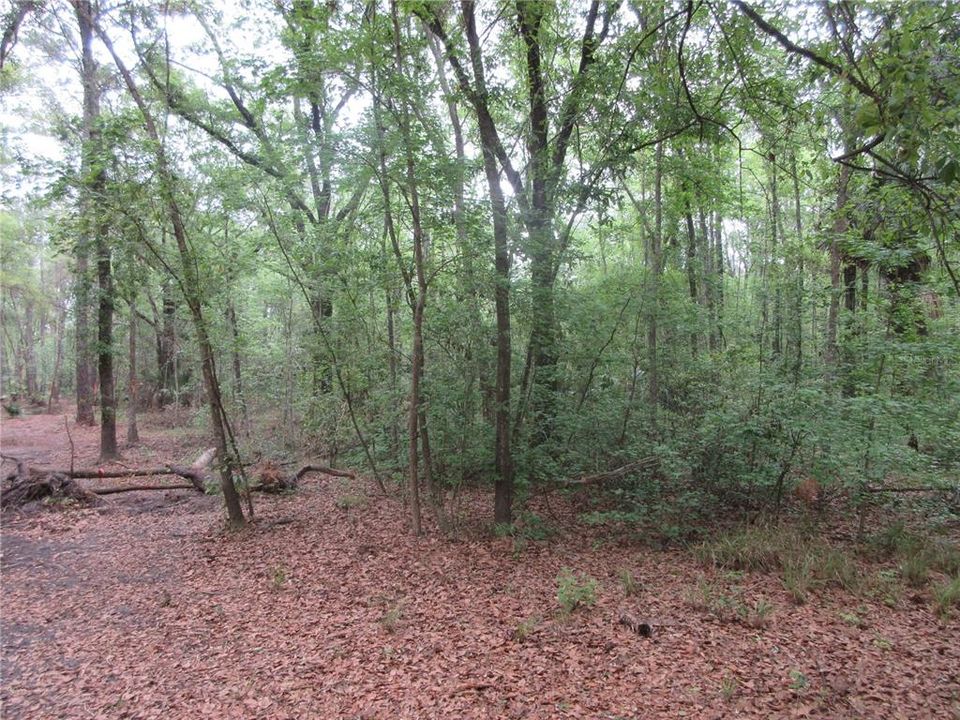 For Sale: $199,000 (3 beds, 2 baths, 1512 Square Feet)