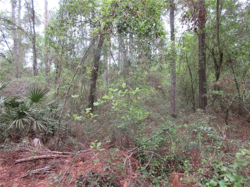 For Sale: $199,000 (3 beds, 2 baths, 1512 Square Feet)