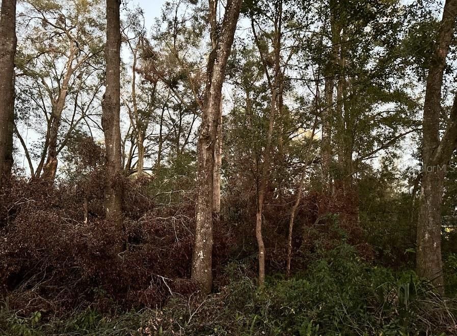 Recently Sold: $30,000 (0.22 acres)