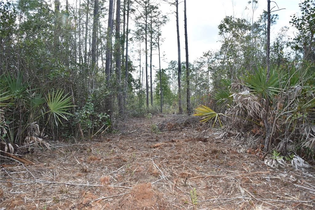 For Sale: $34,900 (2.50 acres)