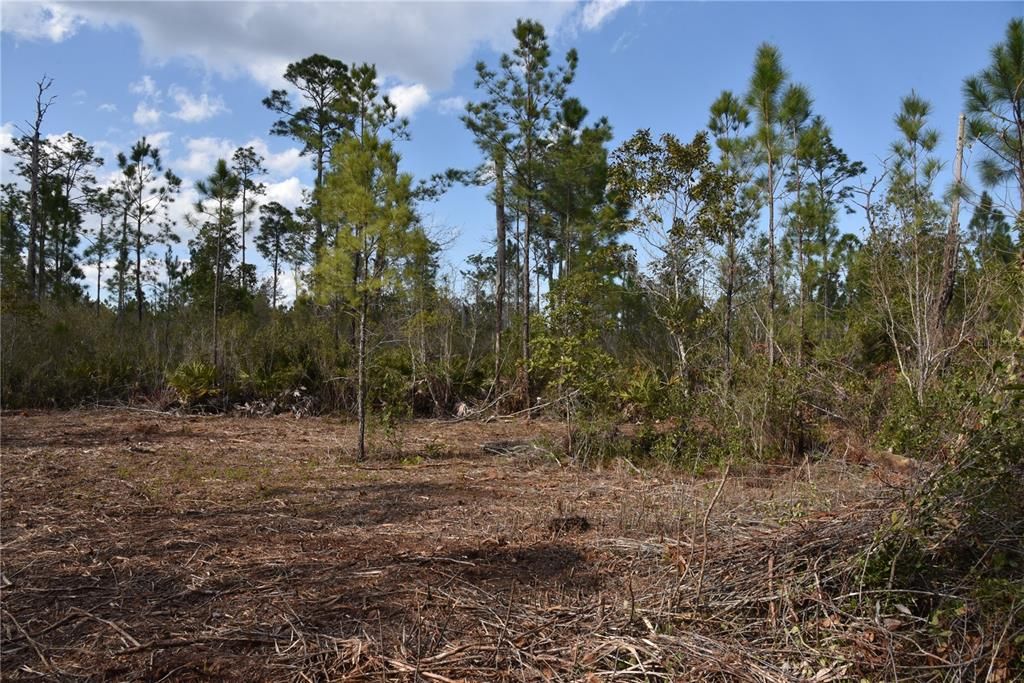 For Sale: $34,900 (2.50 acres)