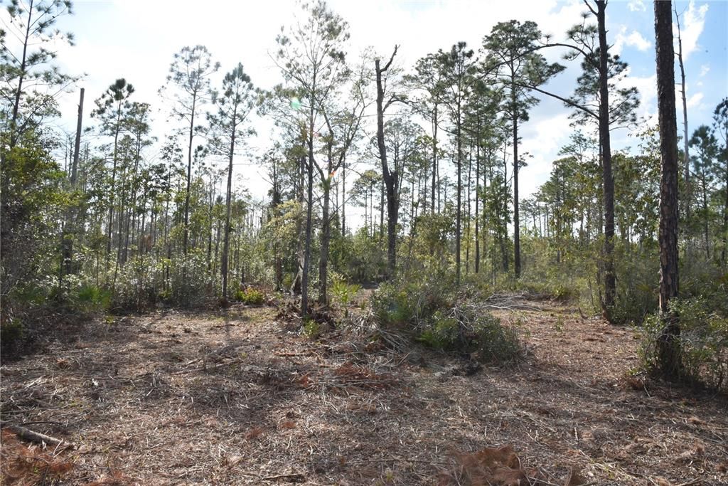 For Sale: $34,900 (2.50 acres)