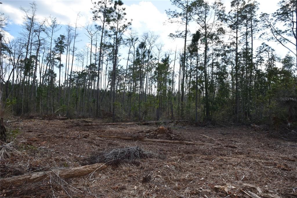 For Sale: $34,900 (2.50 acres)