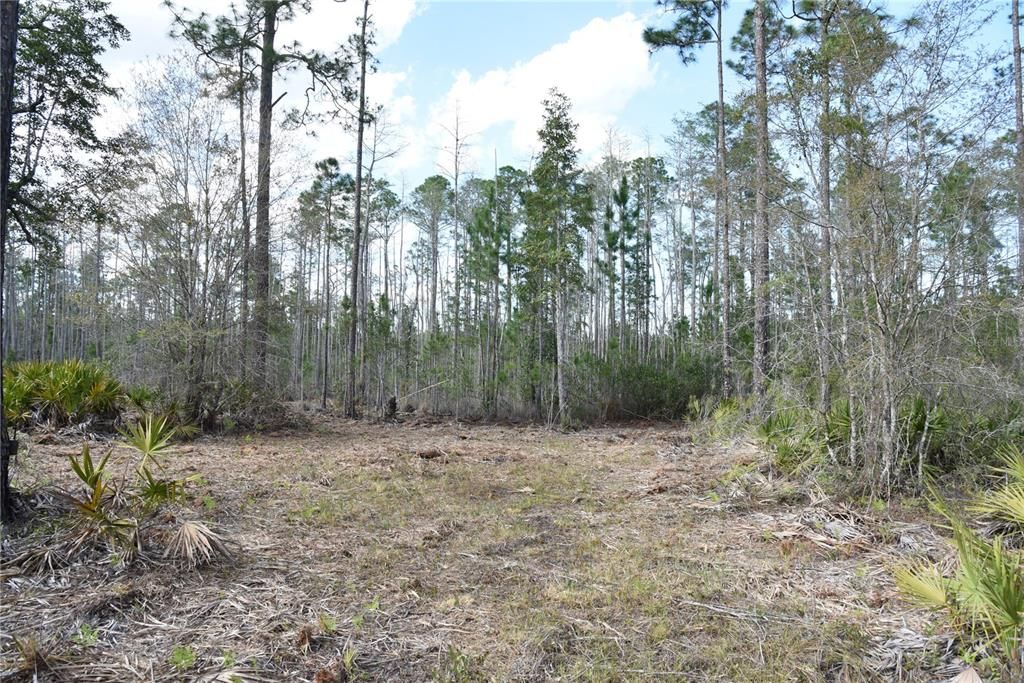 For Sale: $34,900 (2.50 acres)