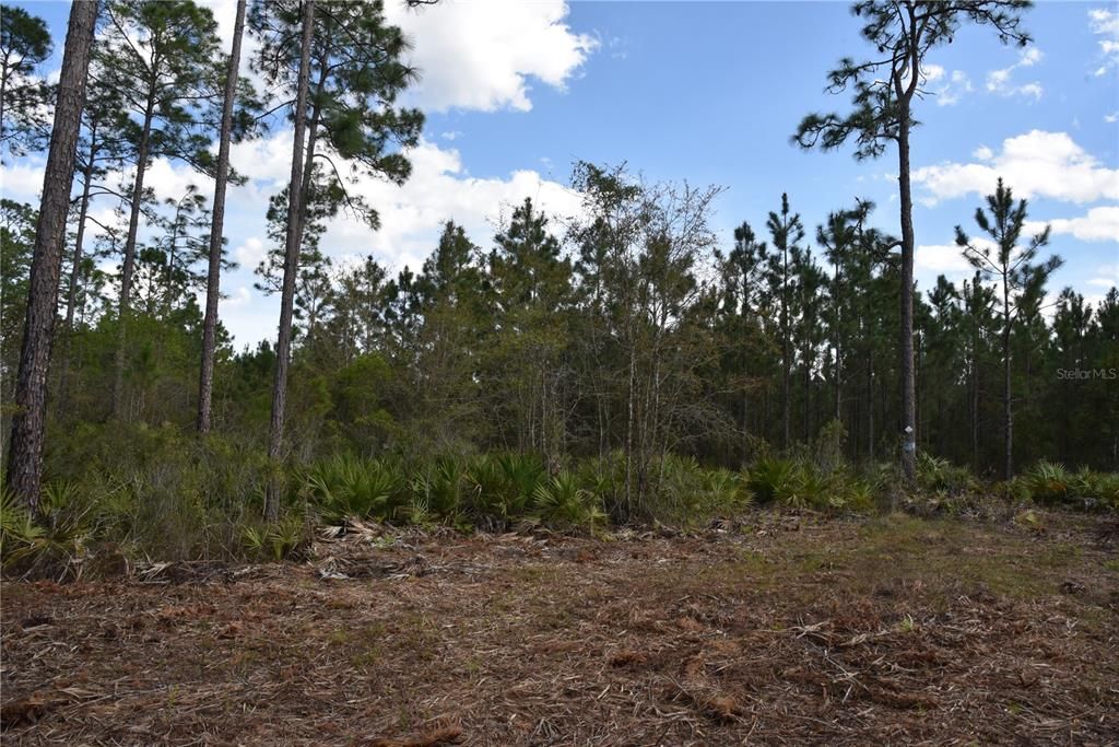 For Sale: $34,900 (2.50 acres)