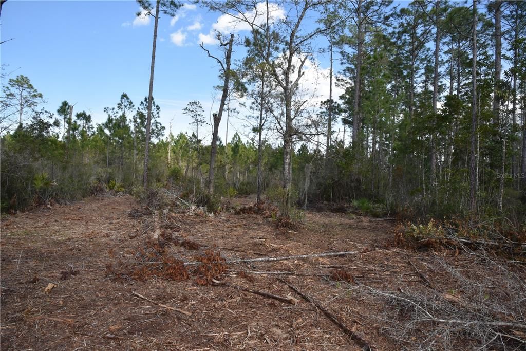 For Sale: $34,900 (2.50 acres)