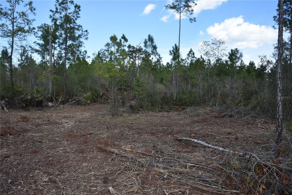 For Sale: $34,900 (2.50 acres)