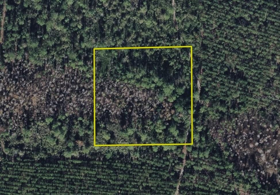 For Sale: $34,900 (2.50 acres)