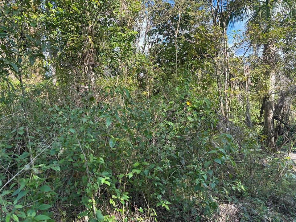 На продажу: $340,000 (16.20 acres)