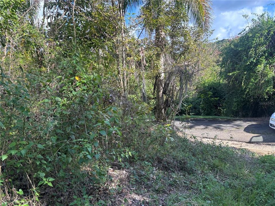 На продажу: $340,000 (16.20 acres)