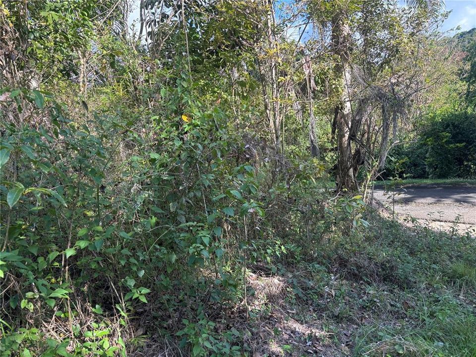 На продажу: $340,000 (16.20 acres)