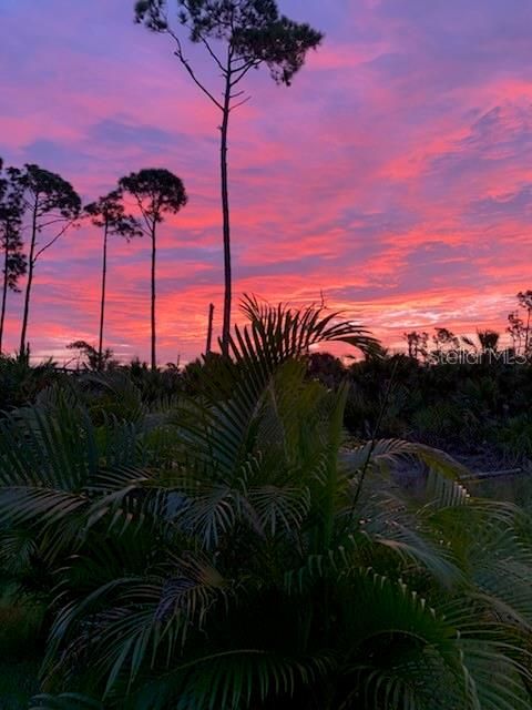 For Sale: $22,000 (0.17 acres)