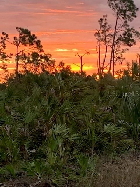 For Sale: $22,000 (0.17 acres)