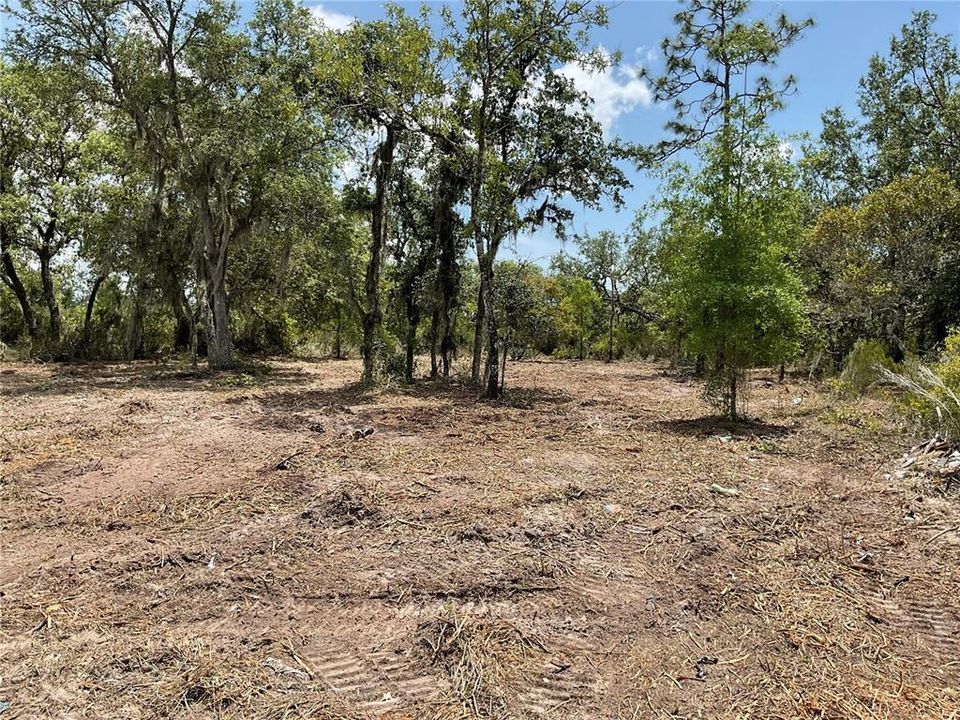 Недавно продано: $7,000 (0.24 acres)