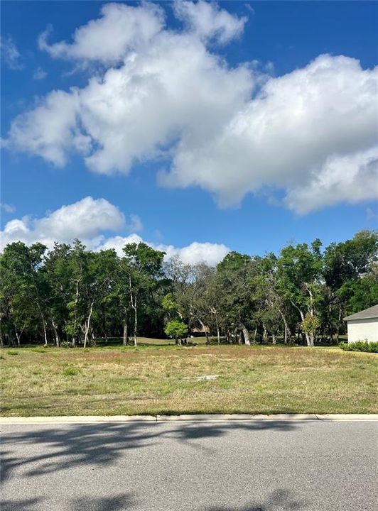 待售: $229,000 (0.28 acres)