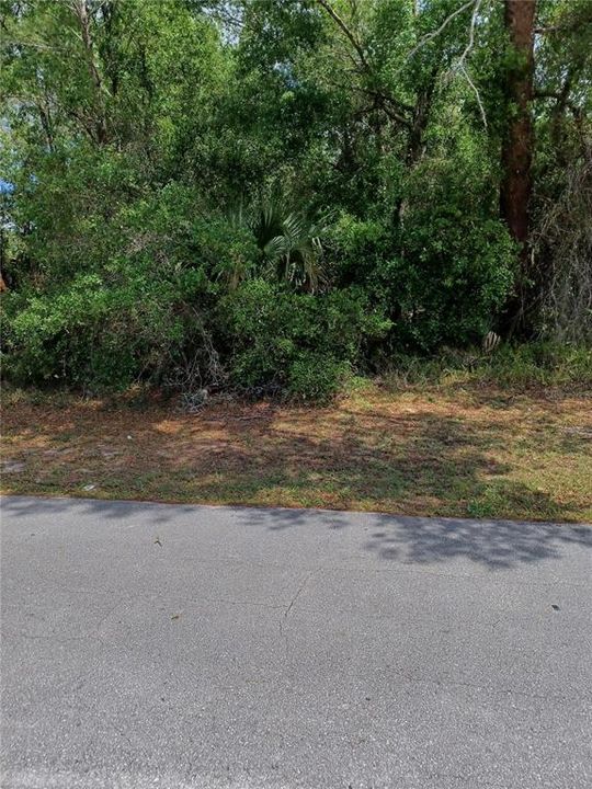 For Sale: $75,000 (0.24 acres)