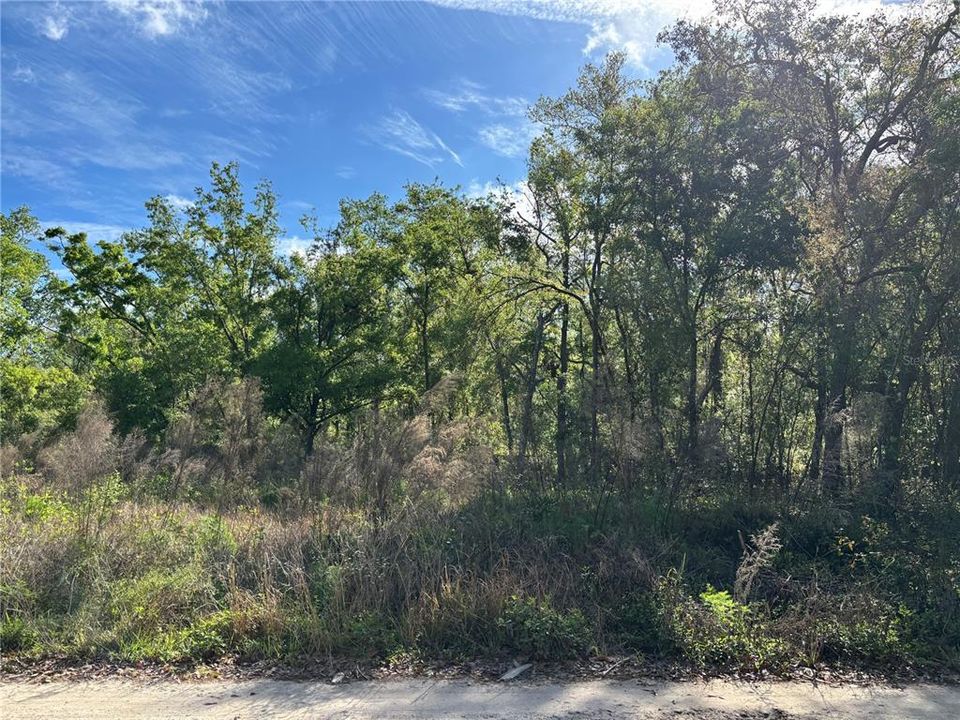 For Sale: $53,900 (0.35 acres)