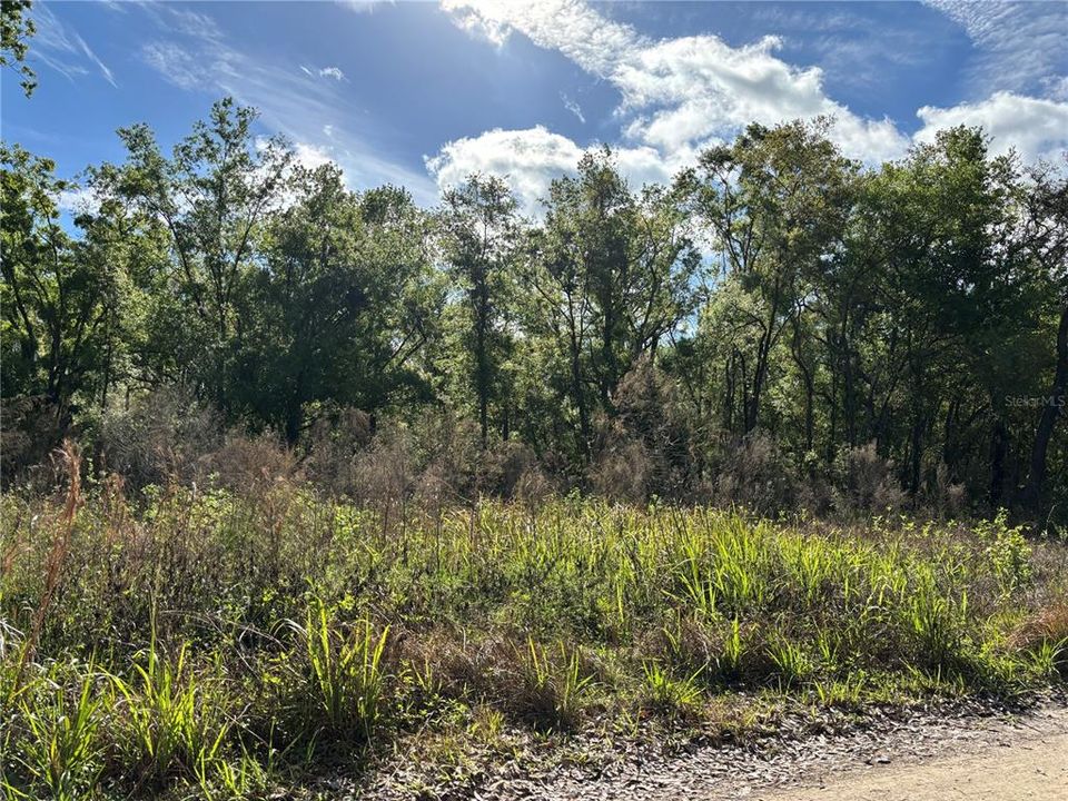 For Sale: $53,900 (0.35 acres)