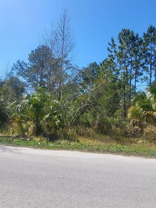 Vendido Recientemente: $26,000 (1.05 acres)