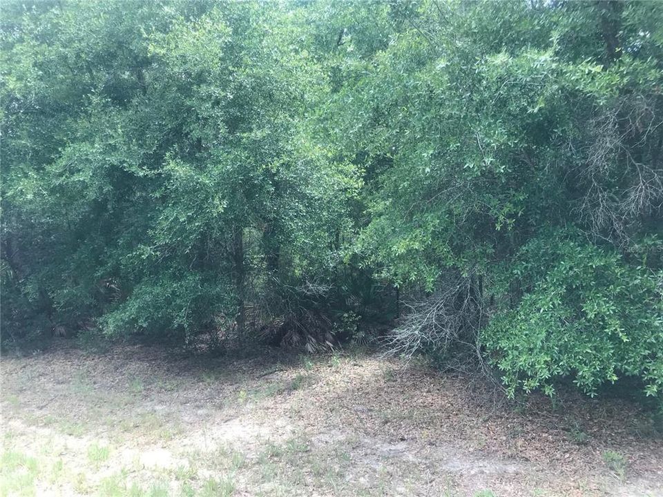 合同活跃: $14,300 (0.28 acres)