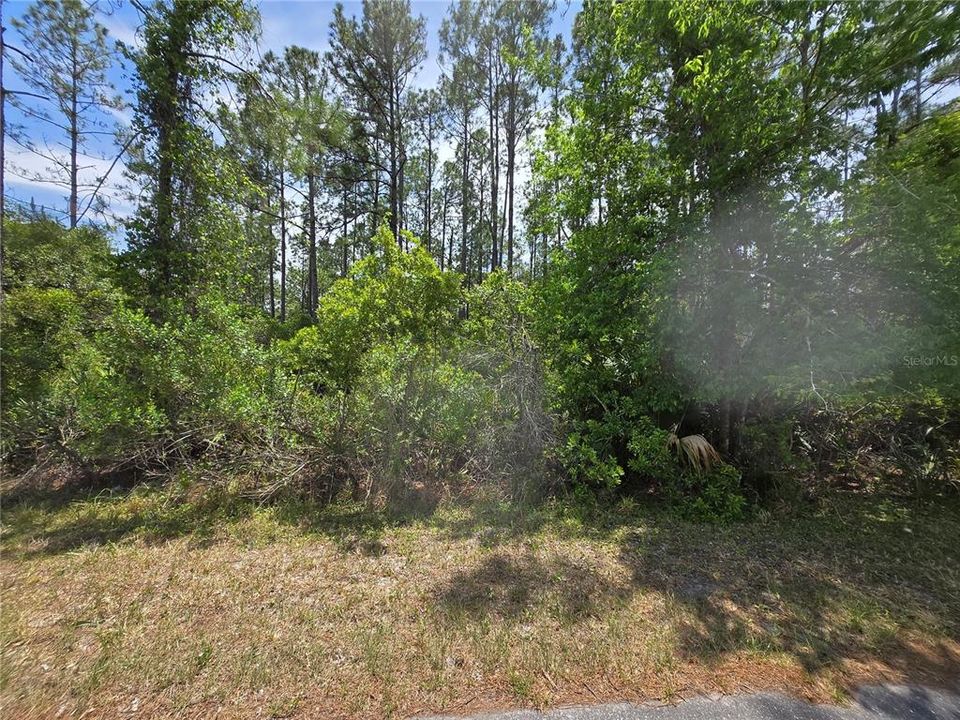 待售: $95,500 (1.00 acres)