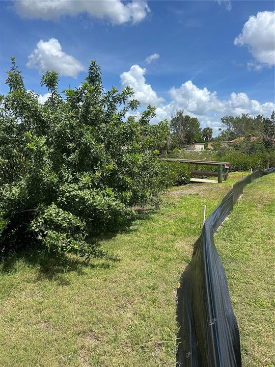 En Venta: $450,000 (0.20 acres)