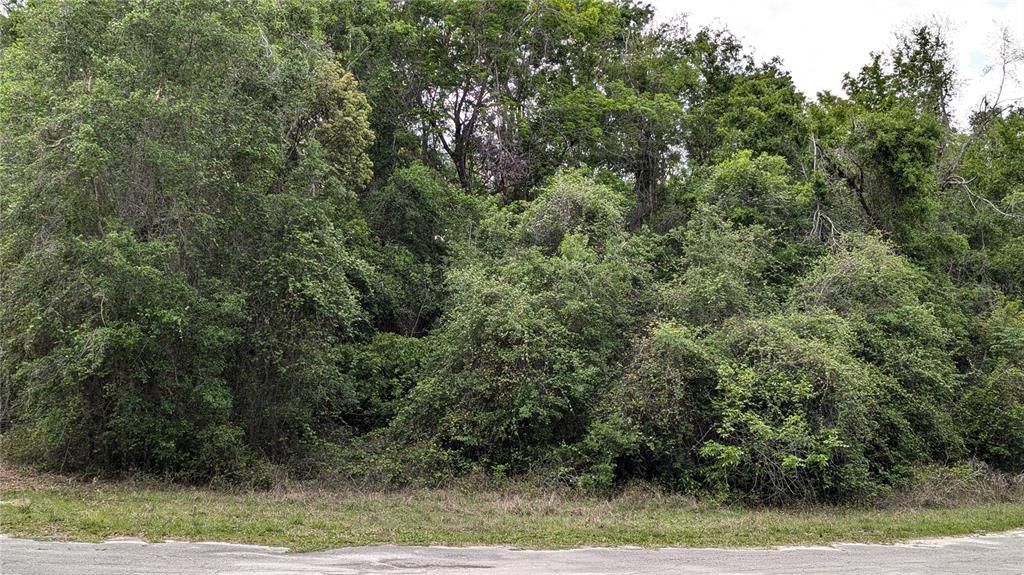 Recently Sold: $49,900 (2.00 acres)