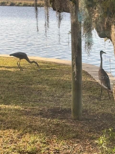 На продажу: $1,999,000 (3 спален, 3 ванн, 4069 Квадратных фут)