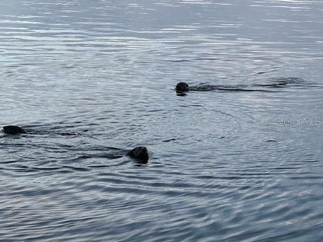 На продажу: $1,999,000 (3 спален, 3 ванн, 4069 Квадратных фут)