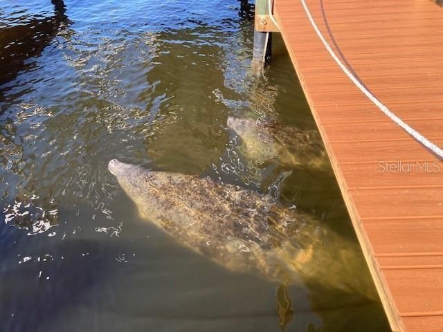 На продажу: $1,999,000 (3 спален, 3 ванн, 4069 Квадратных фут)