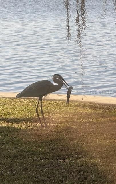 На продажу: $1,999,000 (3 спален, 3 ванн, 4069 Квадратных фут)