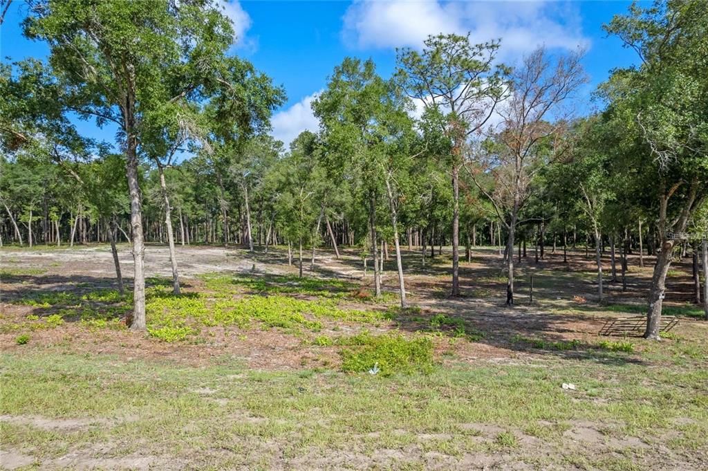 For Sale: $520,000 (9.23 acres)