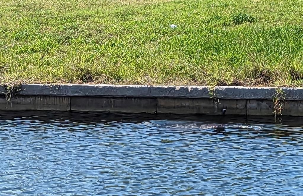 Activo con contrato: $1,129,000 (4 camas, 3 baños, 2563 Pies cuadrados)