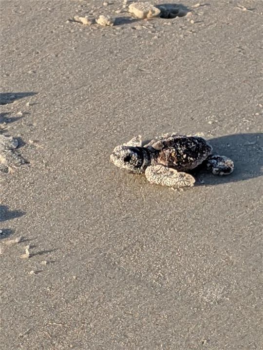 Active With Contract: $599,000 (3 beds, 2 baths, 1948 Square Feet)