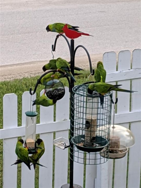 Active With Contract: $599,000 (3 beds, 2 baths, 1948 Square Feet)